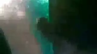 فعل فموي محترف على الطريق السريع